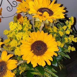 Meet your Posher, Ceana